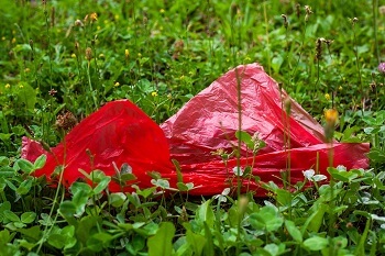 Plastic Bag on Soil